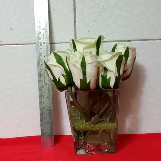 گل رز سفید