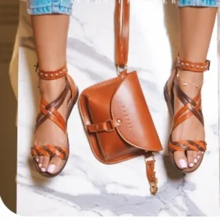 صندل  کاکتوس