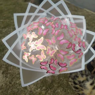 بوکت پروانه