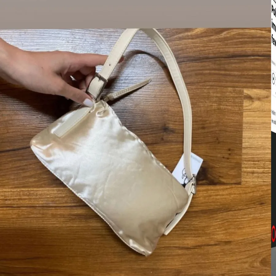 کیف استرادیوس تگدار