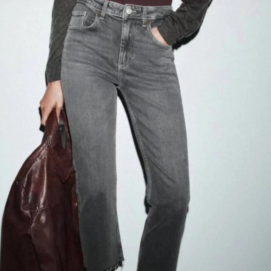 جین جذب طوسی