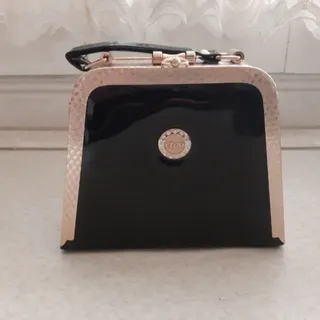 کیف مجلسی