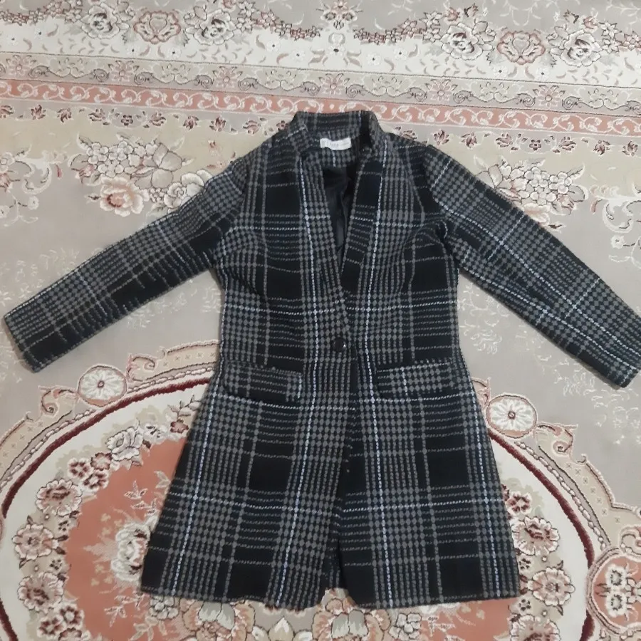 پالتو کتی