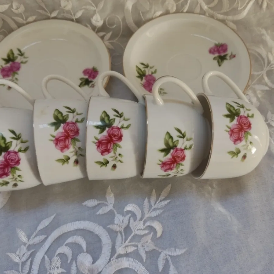 ظروف گل سرخی