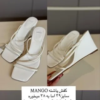 صندل mango