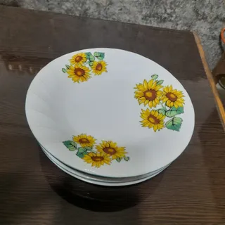 بشقاب کاغذی خارجی