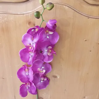 ارکیده مصنوعی یک متری