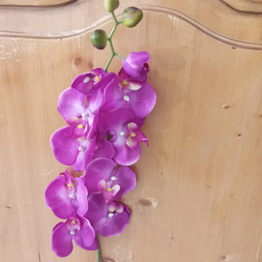 ارکیده مصنوعی یک متری