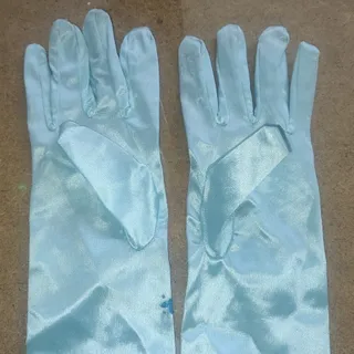 دستکش السا