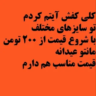 کفش مجلسی