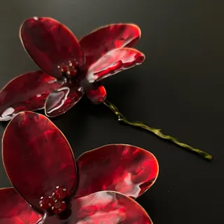 گوشواره اصل و ضدحساسیت