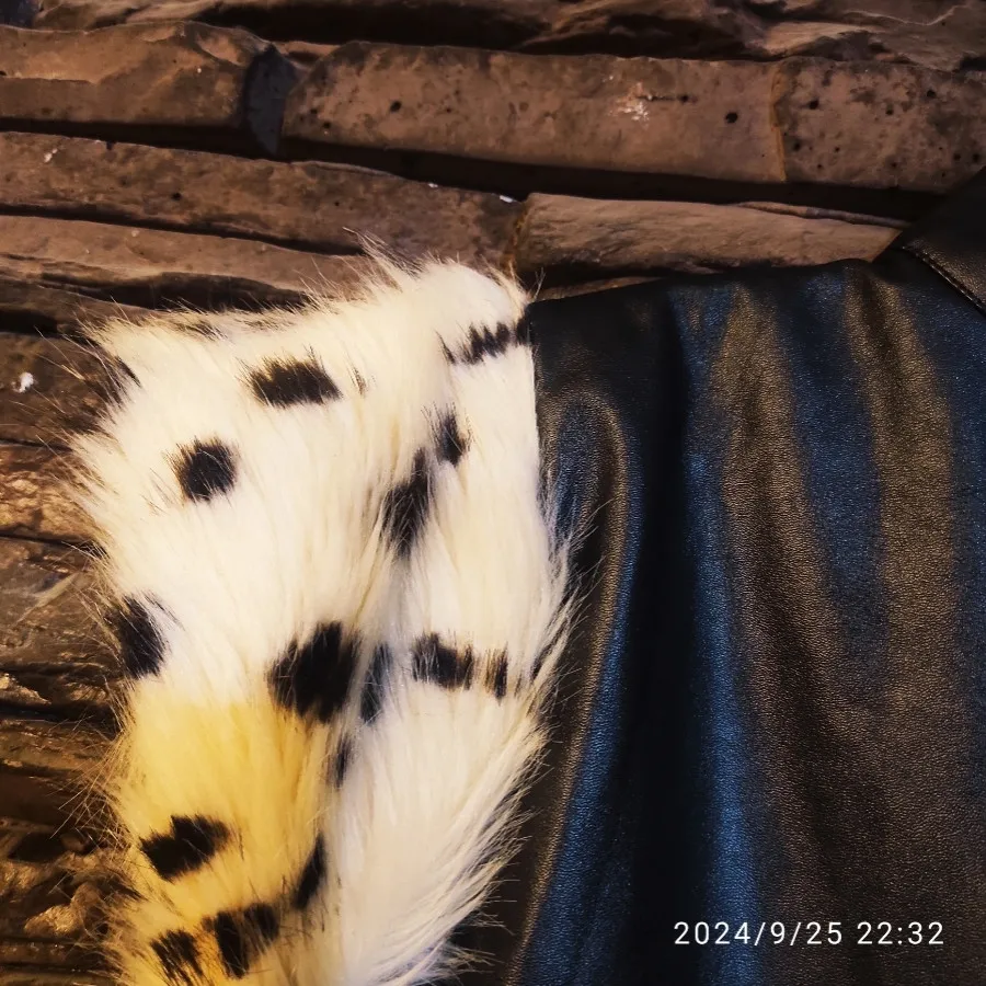 بادی