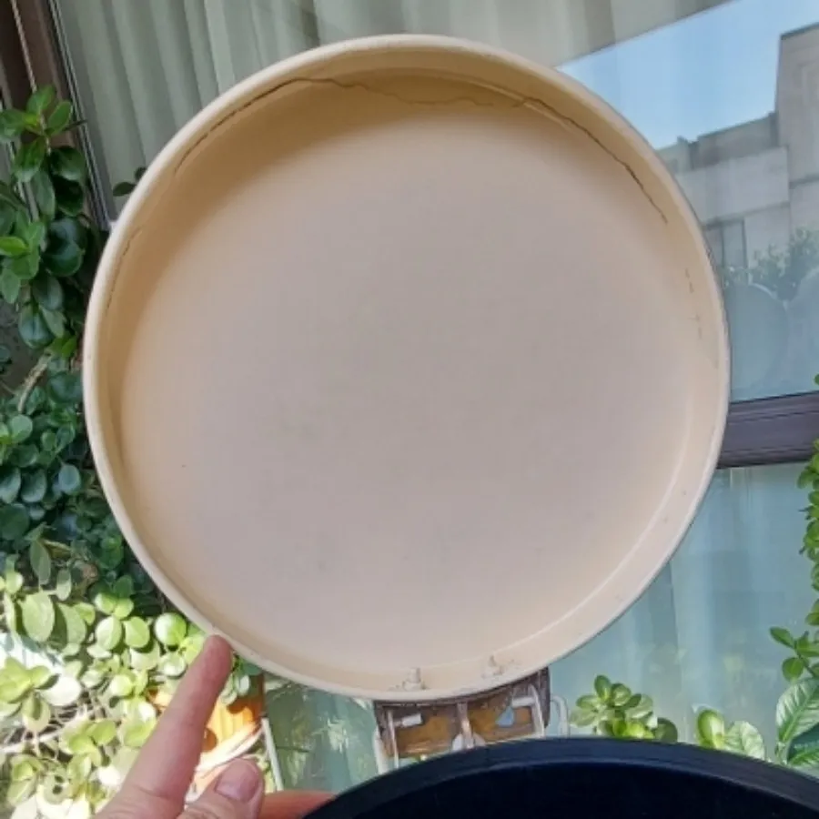 سطل زباله