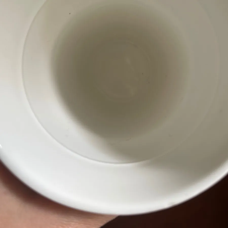 ماگ استارباکس
