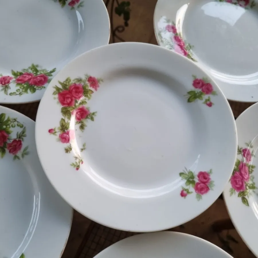 میوه خوری گلسرخی آلمان