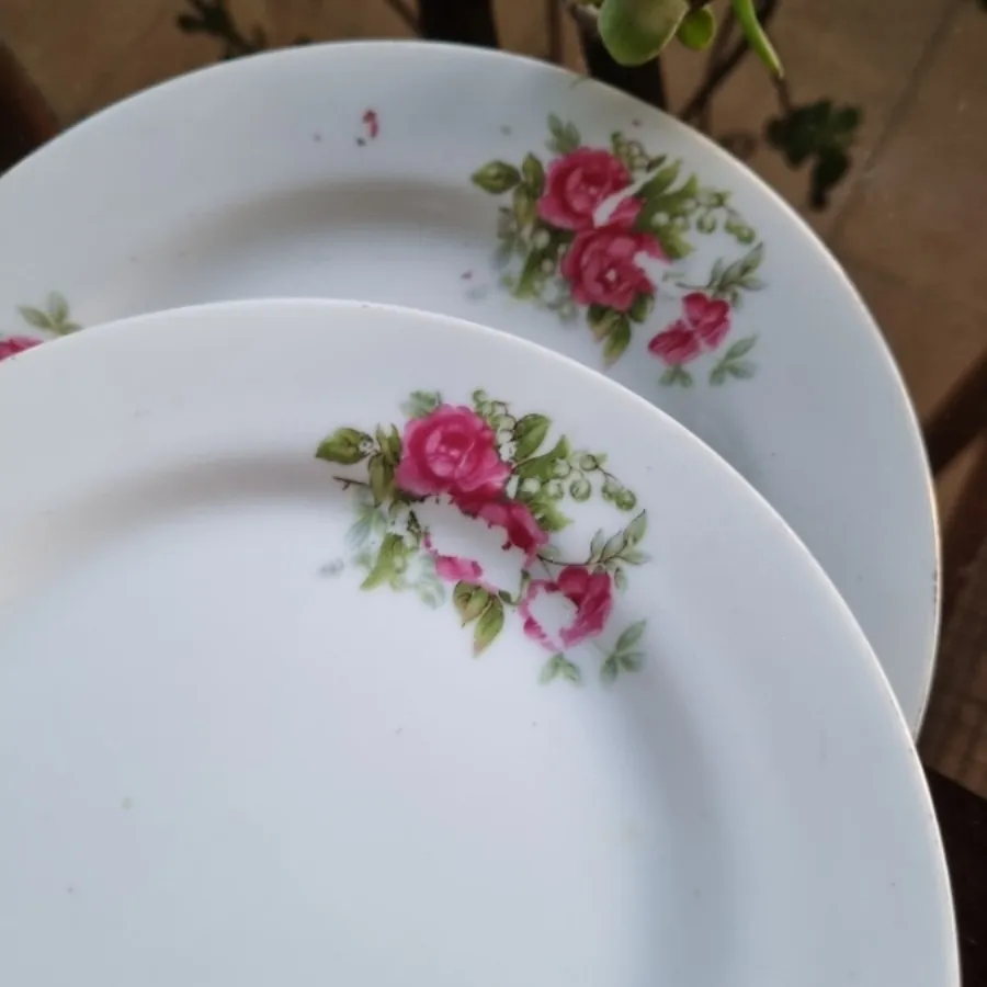 میوه خوری گلسرخی آلمان