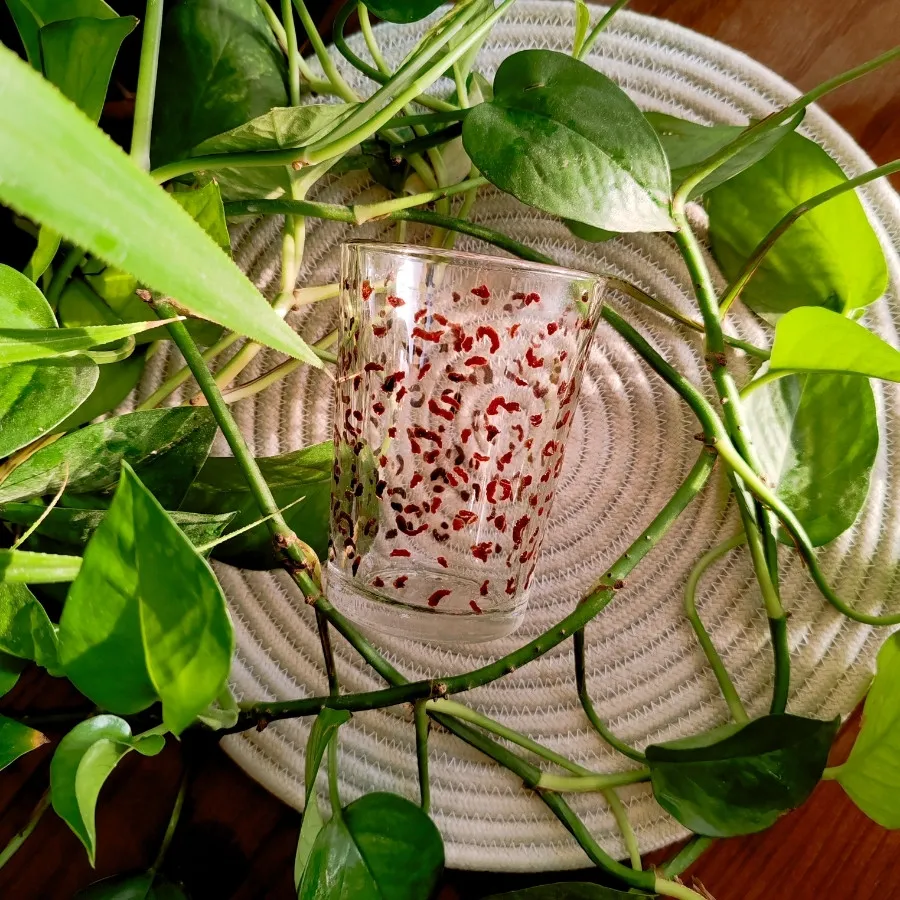 ماگ شیشه ای پلنگی ?