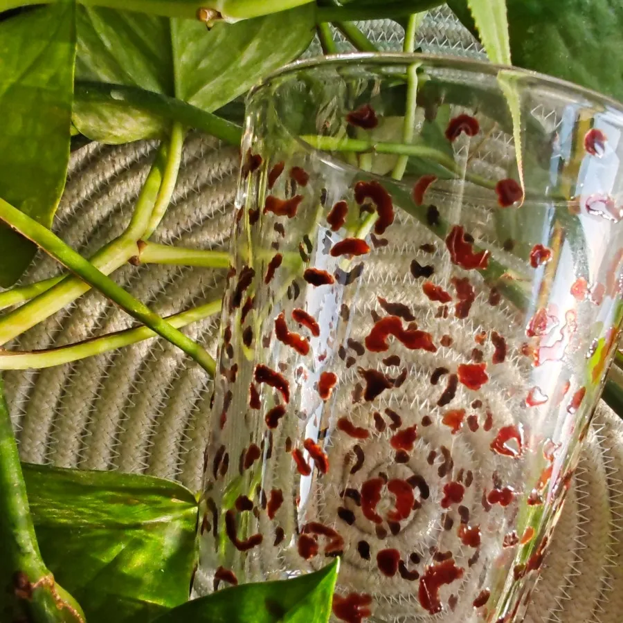 ماگ شیشه ای پلنگی ?