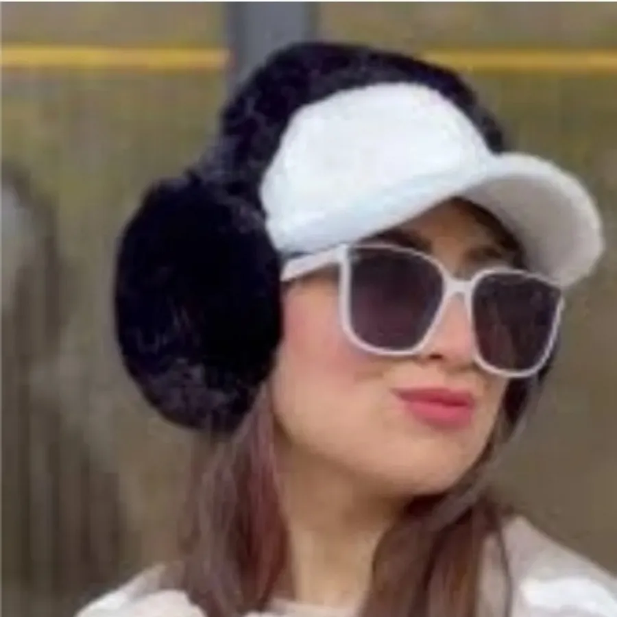 گوشگیر
