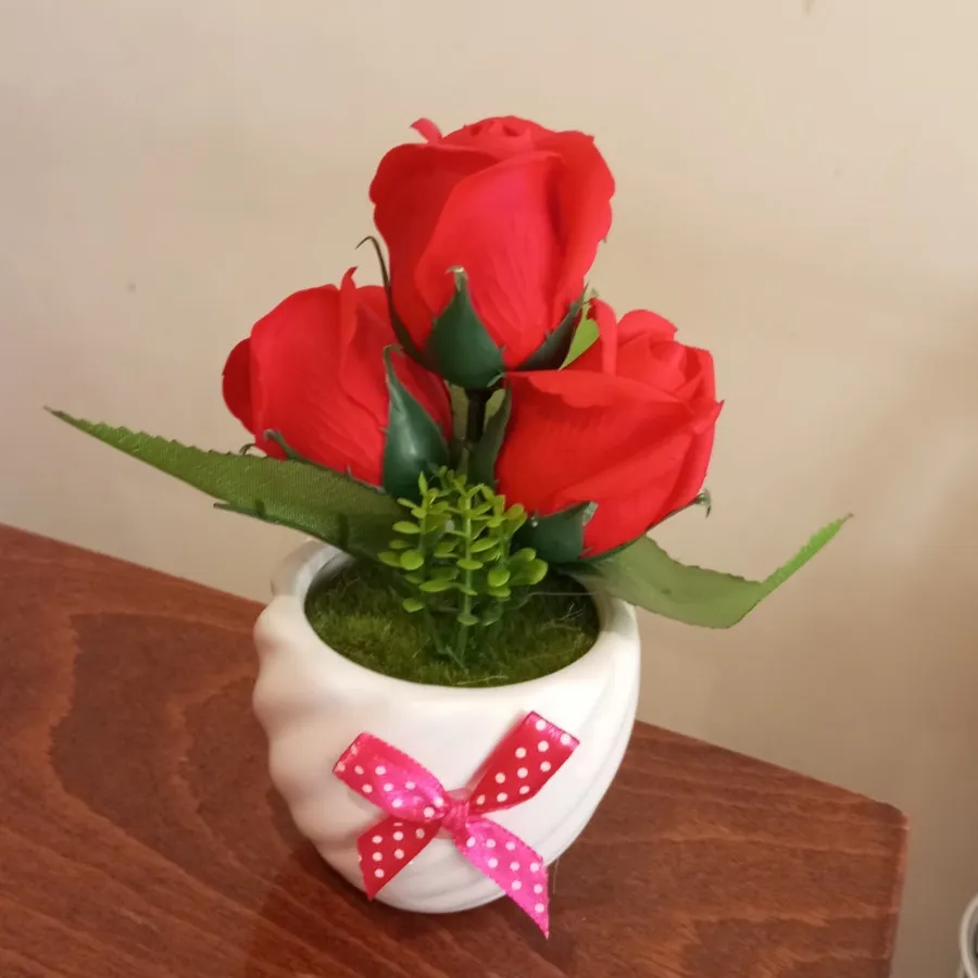 گلدان های دو قلو رز