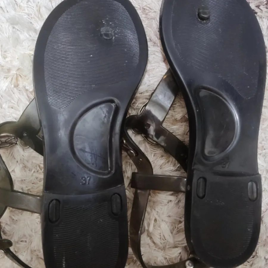صندل ساحلی