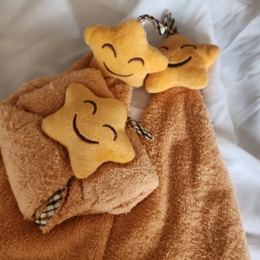 دستمال آویز آشپزخونه نانو