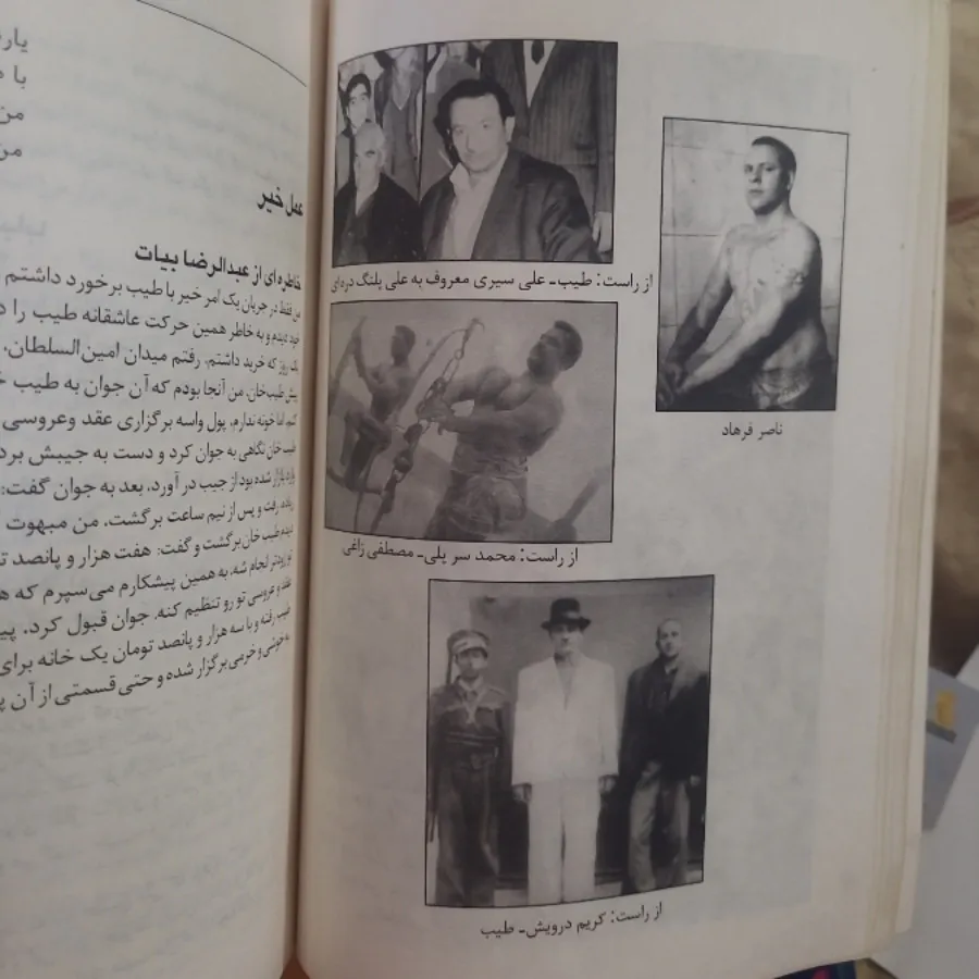 کتاب طیب در گذر لوطی ها
