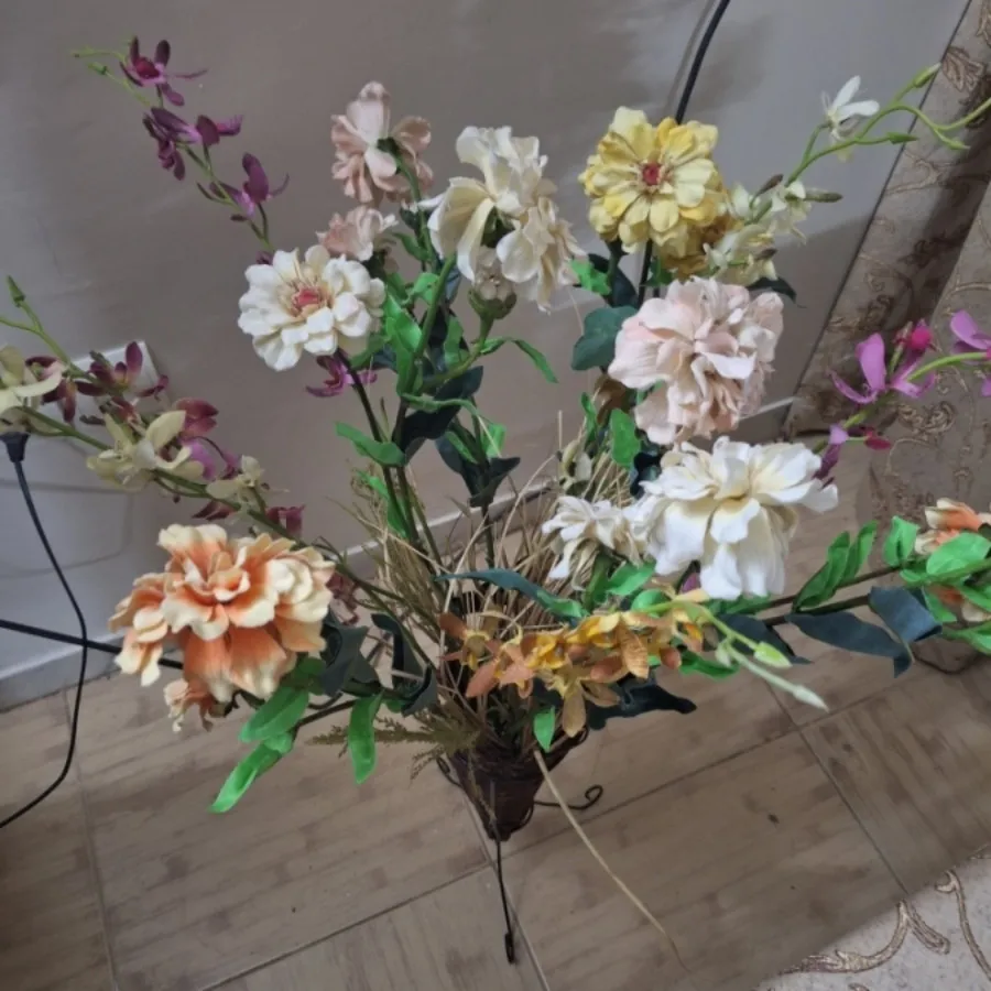 گلهای زیبای داودی