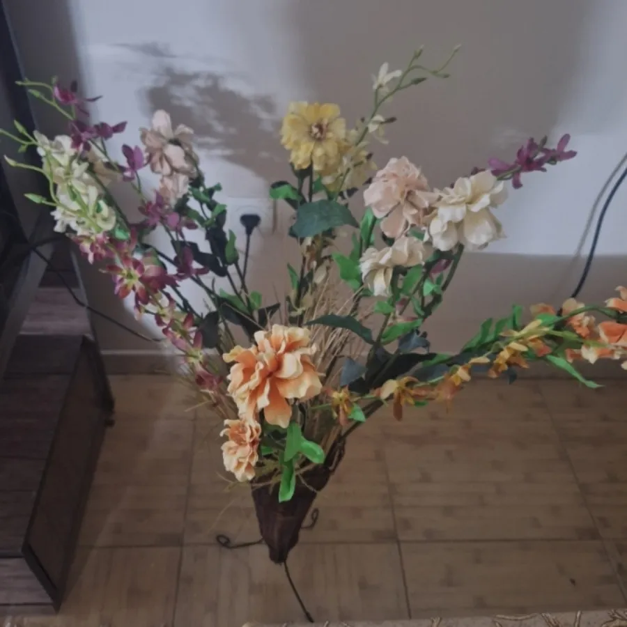 گلهای زیبای داودی