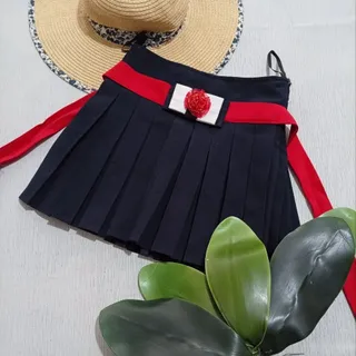 دامن پلیسه