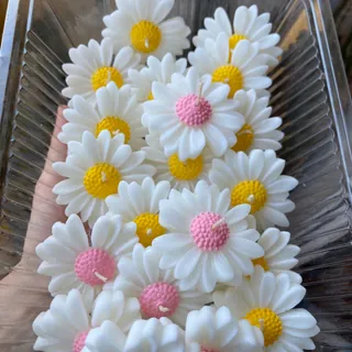 شمع بابونه