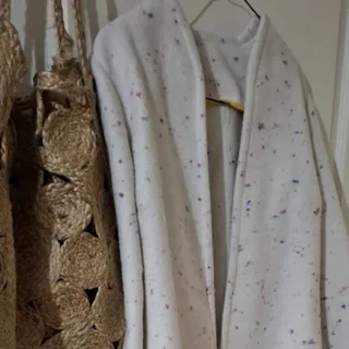 پالتو