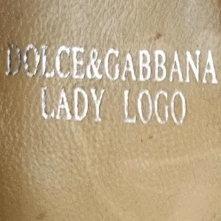 کفش d&g