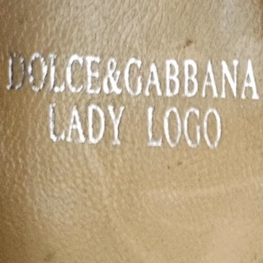 کفش d&g