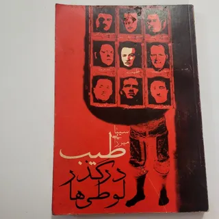 کتاب طیب در گذر لوطی ها