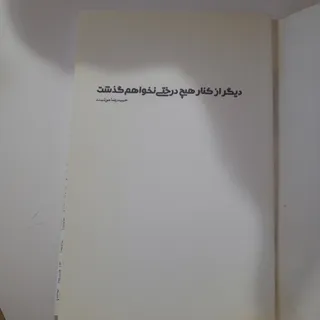 دیگر از کنار هیچ درختی