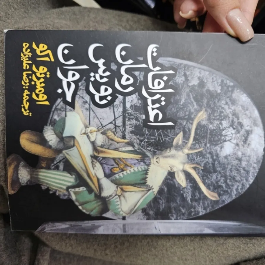 اعترافات رمان نویس جوان