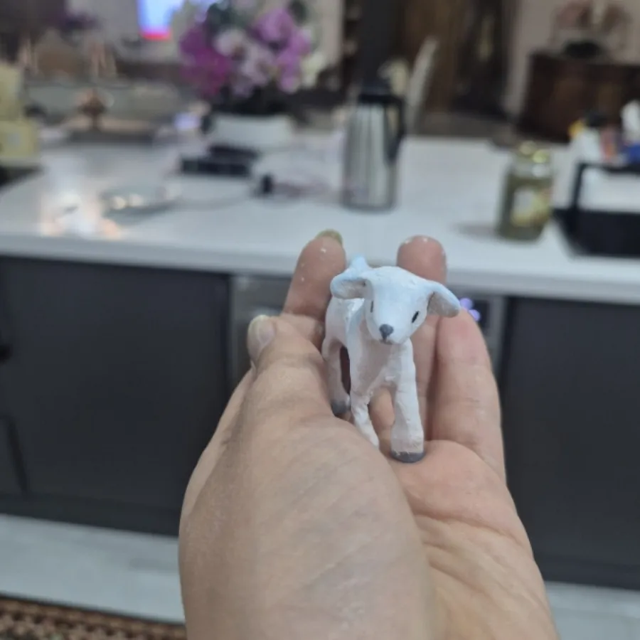فیگور بره