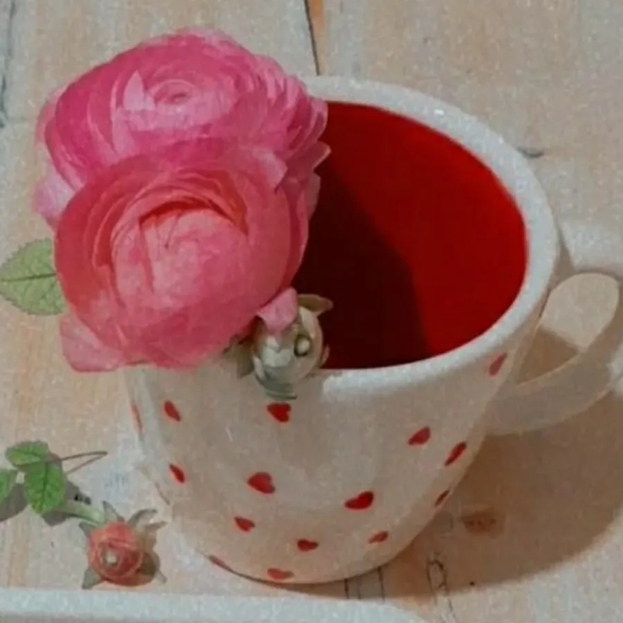 ماگ