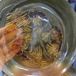 پلوخوری بلوری