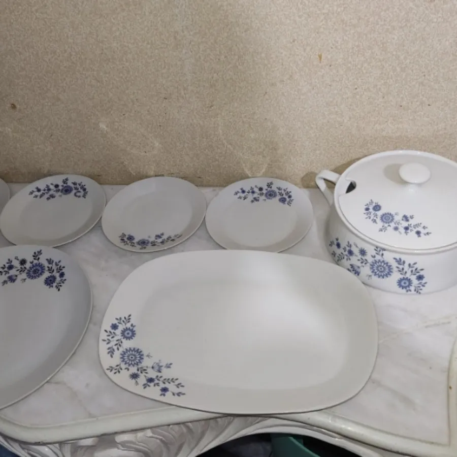 سرویس غذاخوری