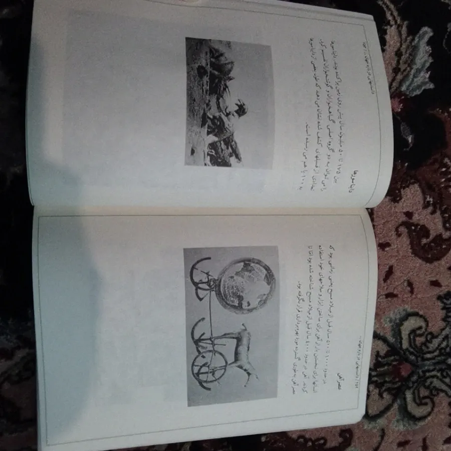 دانستنی هایی درباره جهان