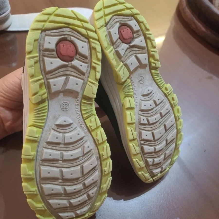 کفش الفنت