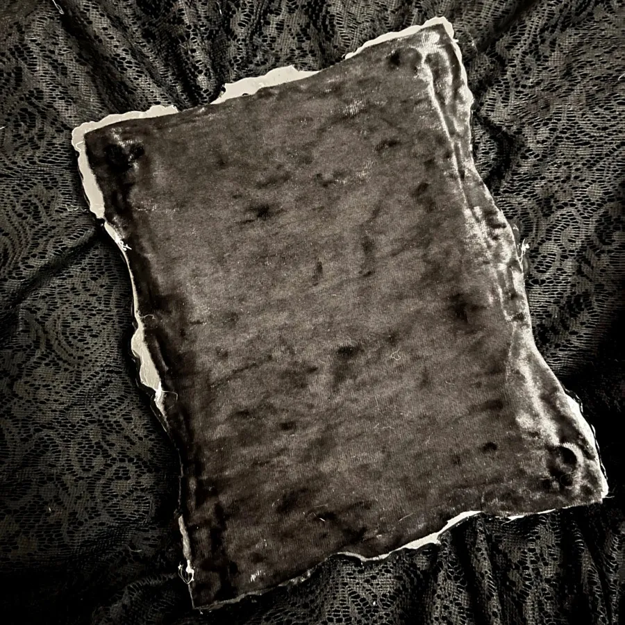 دیوارکوب مخمل