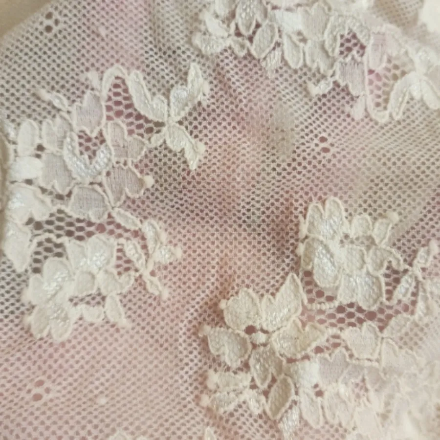 بادی توری