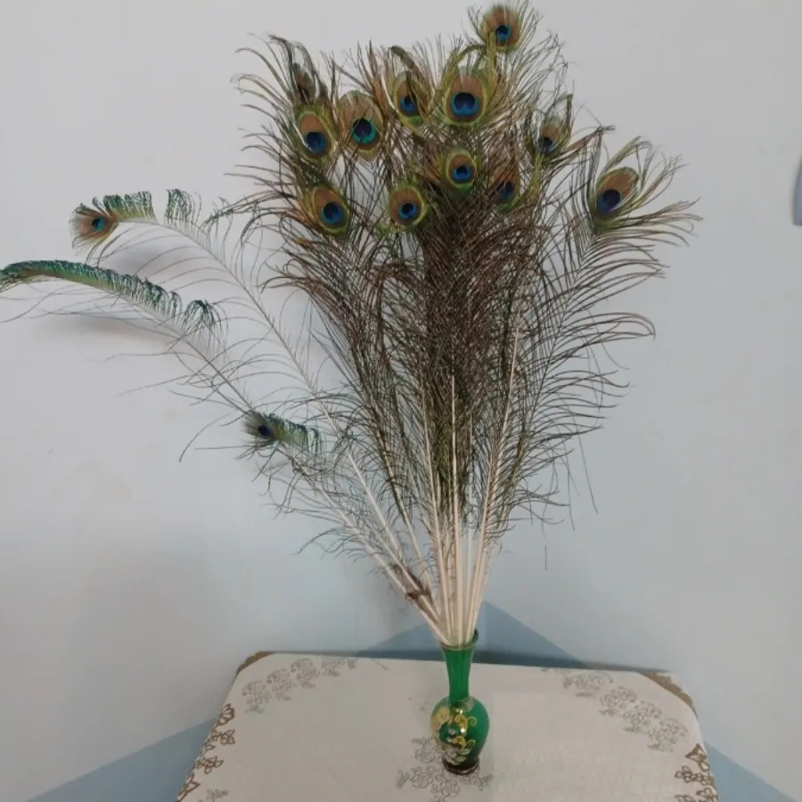 پر طاووس دکوری