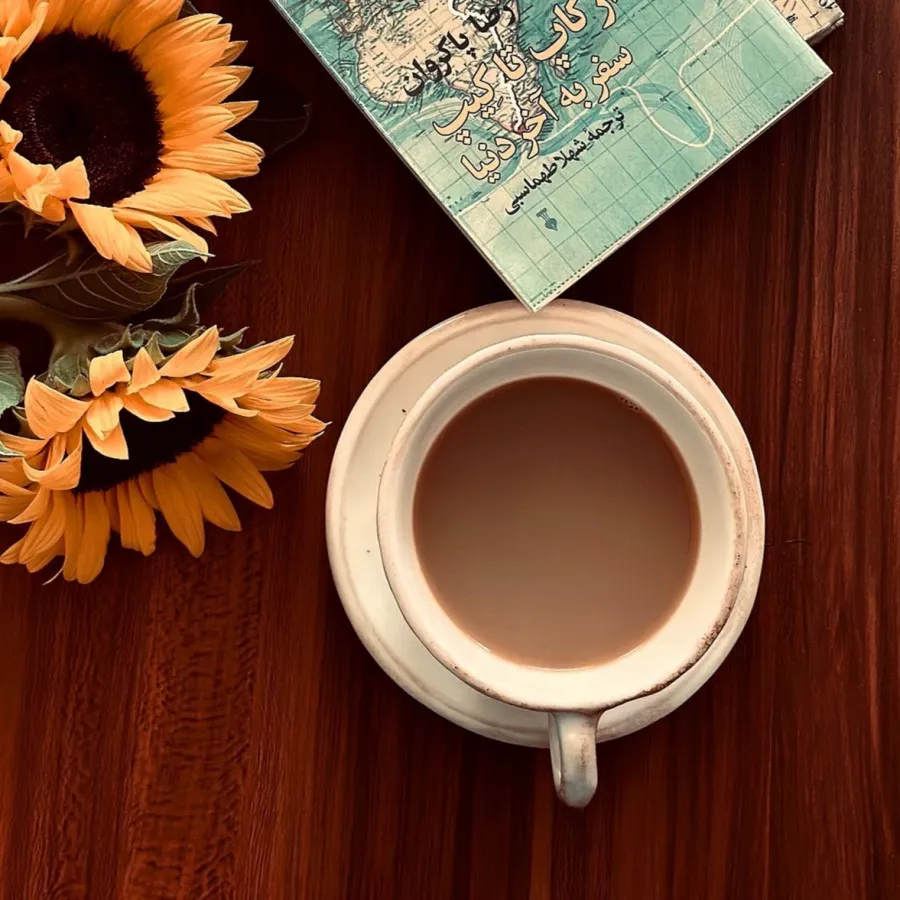 فنجون نعلبکی