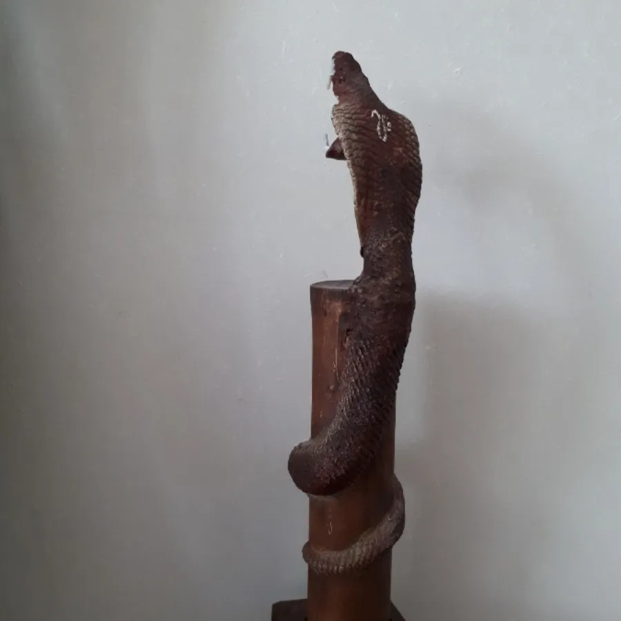 جاعودی مار