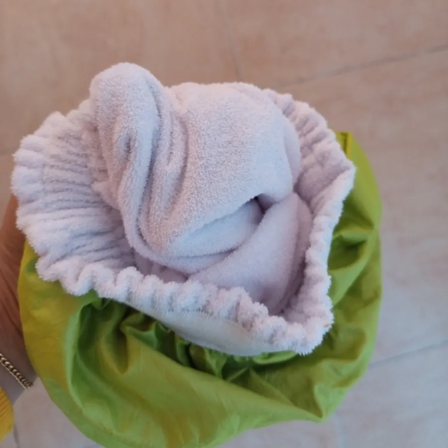 شورت آموزشی