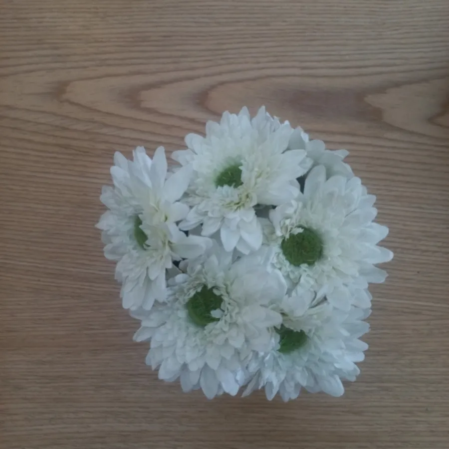 اکسسوری دکوری